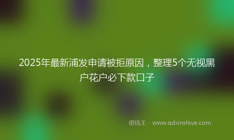 2025年最新浦发申请被拒原因，整理5个无视黑户花户必下款口子