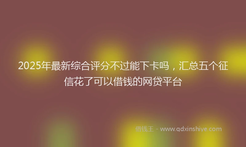 2025年最新综合评分不过能下卡吗，汇总五个征信花了可以借钱的网贷平台