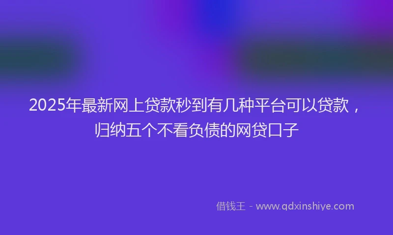 2025年最新网上贷款秒到有几种平台可以贷款，归纳五个不看负债的网贷口子