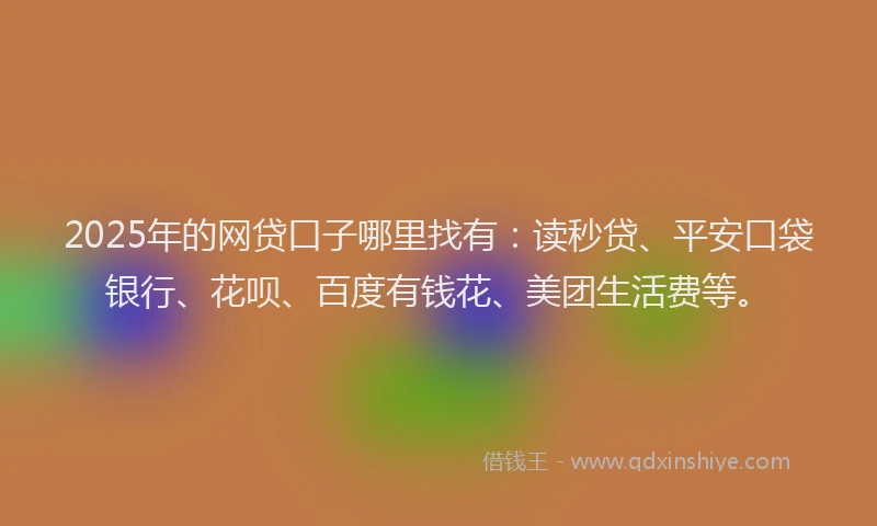 2025年的网贷口子哪里找有：读秒贷、平安口袋银行、花呗、百度有钱花、美团生活费等。
