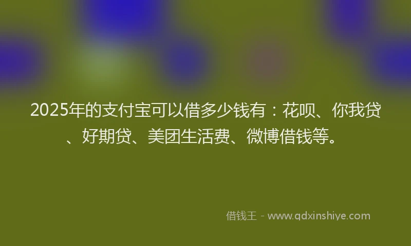 2025年的支付宝可以借多少钱有：花呗、你我贷、好期贷、美团生活费、微博借钱等。