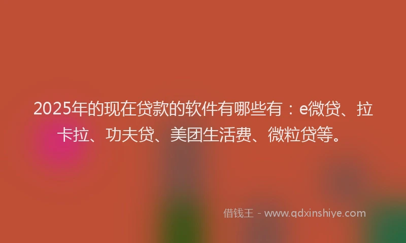 2025年的现在贷款的软件有哪些有：e微贷、拉卡拉、功夫贷、美团生活费、微粒贷等。
