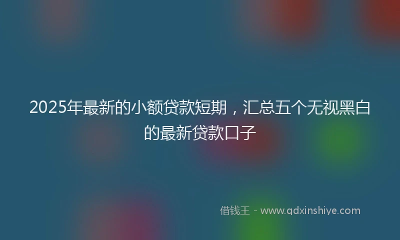 2025年最新的小额贷款短期，汇总五个无视黑白的最新贷款口子