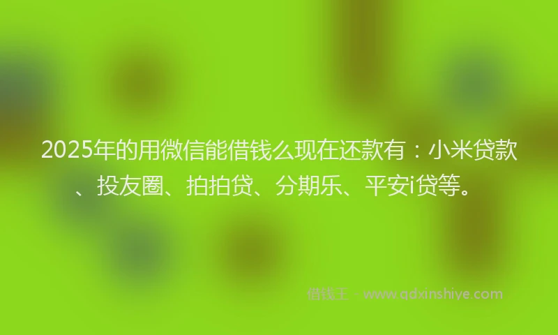 2025年的用微信能借钱么现在还款有：小米贷款、投友圈、拍拍贷、分期乐、平安i贷等。