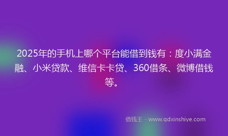 2025年的手机上哪个平台能借到钱有：度小满金融、小米贷款、维信卡卡贷、360借条、微博借钱等。