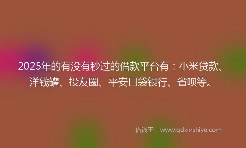 2025年的有没有秒过的借款平台有：小米贷款、洋钱罐、投友圈、平安口袋银行、省呗等。
