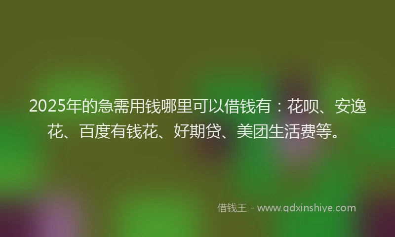 2025年的急需用钱哪里可以借钱有：花呗、安逸花、百度有钱花、好期贷、美团生活费等。