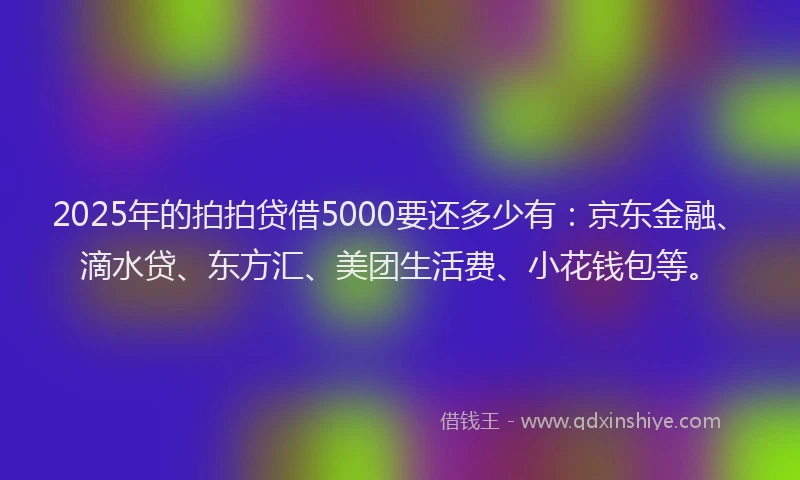 2025年的拍拍贷借5000要还多少有：京东金融、滴水贷、东方汇、美团生活费、小花钱包等。