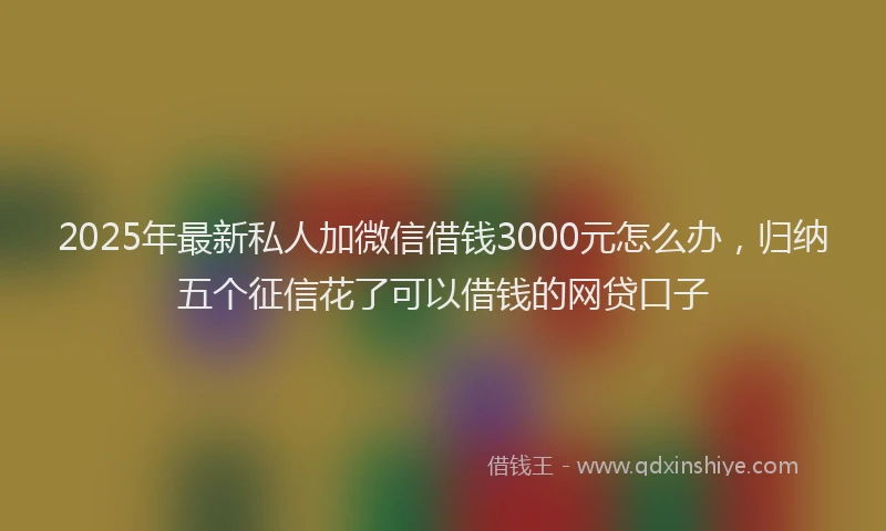 2025年最新私人加微信借钱3000元怎么办，归纳五个征信花了可以借钱的网贷口子