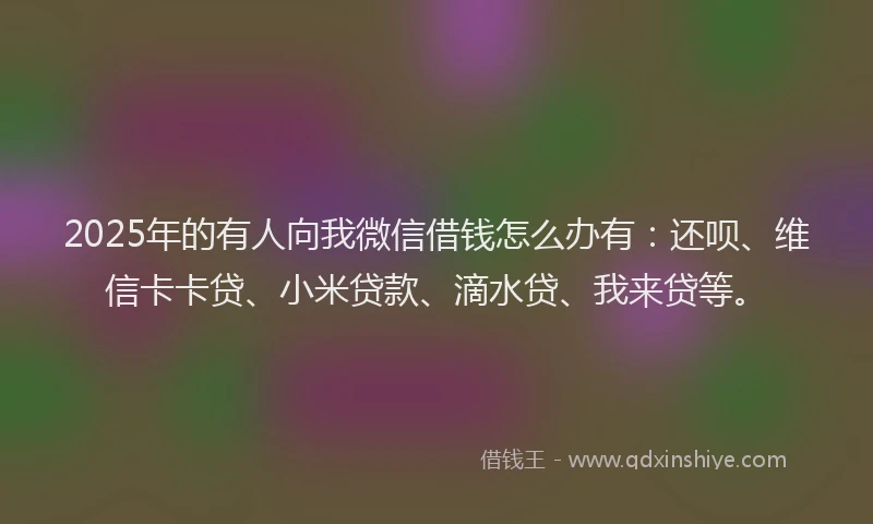 2025年的有人向我微信借钱怎么办有：还呗、维信卡卡贷、小米贷款、滴水贷、我来贷等。