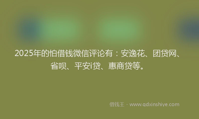 2025年的怕借钱微信评论有：安逸花、团贷网、省呗、平安i贷、惠商贷等。