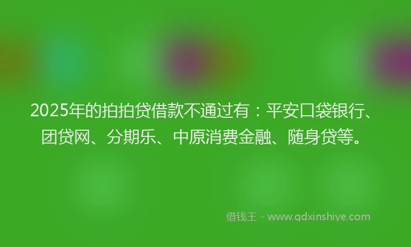 2025年的拍拍贷借款不通过有：平安口袋银行、团贷网、分期乐、中原消费金融、随身贷等。