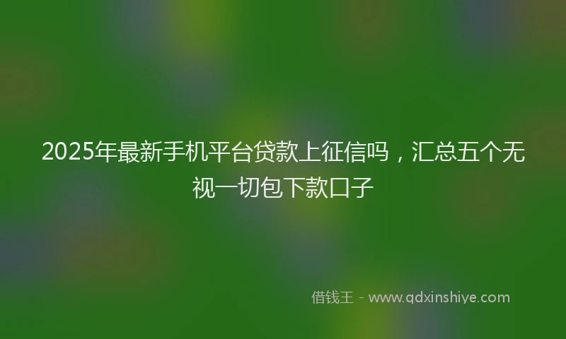 2025年最新手机平台贷款上征信吗，汇总五个无视一切包下款口子