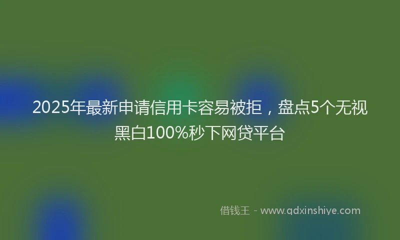 2025年最新申请信用卡容易被拒，盘点5个无视黑白100%秒下网贷平台