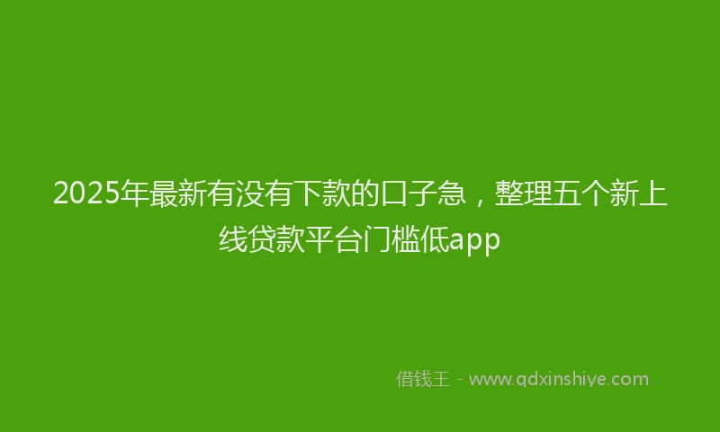 2025年最新有没有下款的口子急，整理五个新上线贷款平台门槛低app
