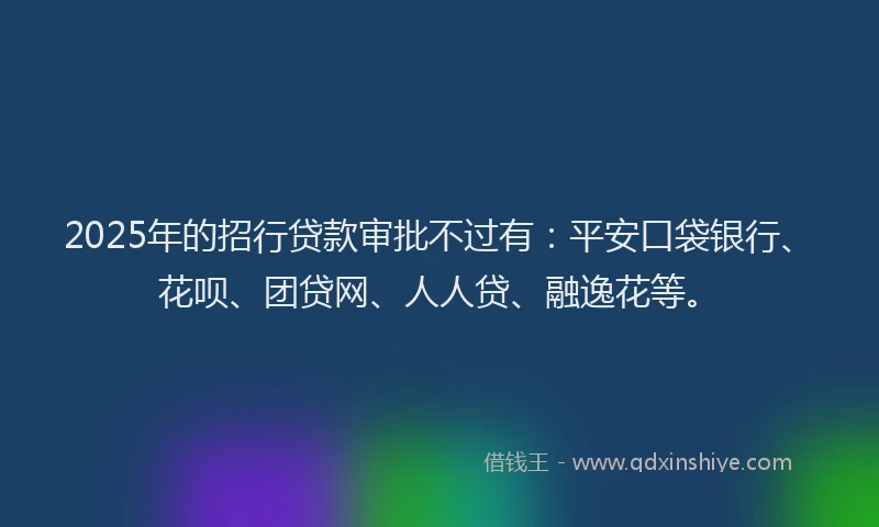 2025年的招行贷款审批不过有：平安口袋银行、花呗、团贷网、人人贷、融逸花等。