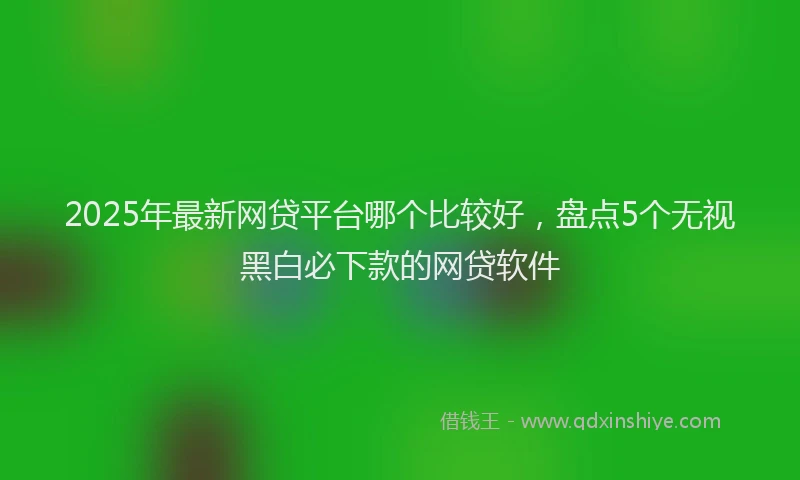 2025年最新网贷平台哪个比较好，盘点5个无视黑白必下款的网贷软件