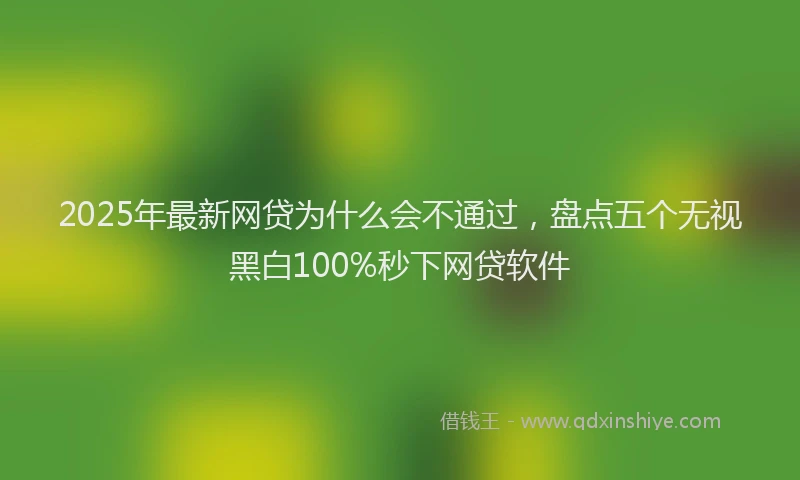 2025年最新网贷为什么会不通过，盘点五个无视黑白100%秒下网贷软件