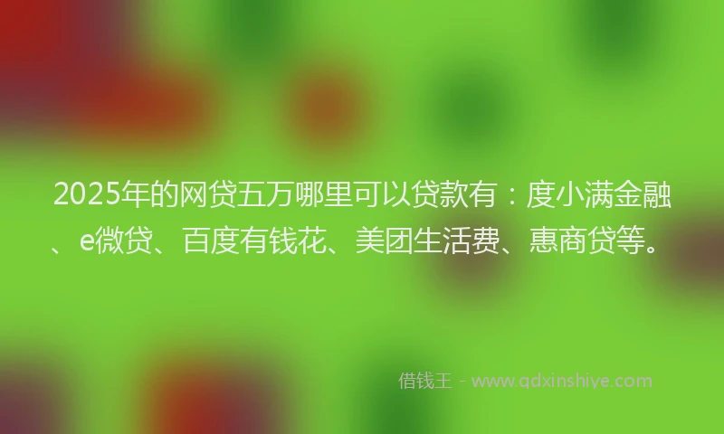 2025年的网贷五万哪里可以贷款有：度小满金融、e微贷、百度有钱花、美团生活费、惠商贷等。