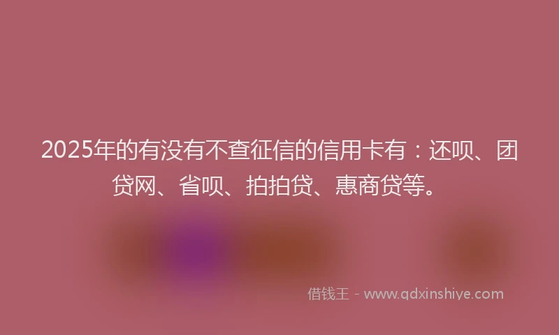 2025年的有没有不查征信的信用卡有：还呗、团贷网、省呗、拍拍贷、惠商贷等。