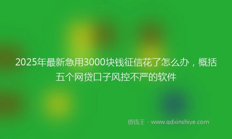 2025年最新急用3000块钱征信花了怎么办，概括五个网贷口子风控不严的软件