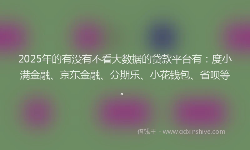 2025年的有没有不看大数据的贷款平台有：度小满金融、京东金融、分期乐、小花钱包、省呗等。