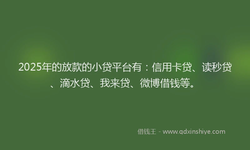 2025年的放款的小贷平台有：信用卡贷、读秒贷、滴水贷、我来贷、微博借钱等。