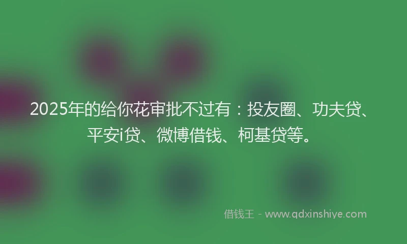 2025年的给你花审批不过有：投友圈、功夫贷、平安i贷、微博借钱、柯基贷等。