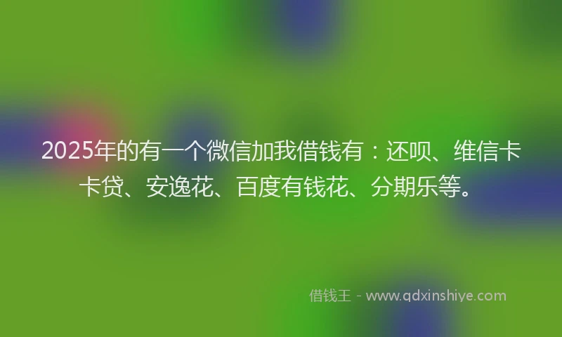 2025年的有一个微信加我借钱有：还呗、维信卡卡贷、安逸花、百度有钱花、分期乐等。