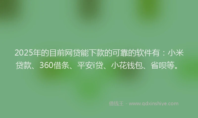 2025年的目前网贷能下款的可靠的软件有：小米贷款、360借条、平安i贷、小花钱包、省呗等。
