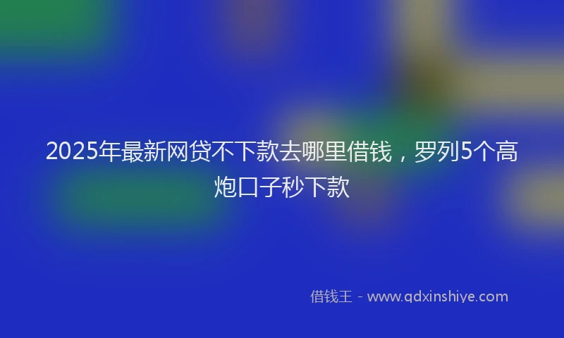 2025年最新网贷不下款去哪里借钱，罗列5个高炮口子秒下款