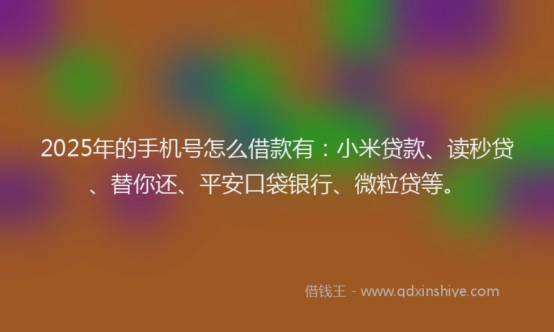 2025年的手机号怎么借款有：小米贷款、读秒贷、替你还、平安口袋银行、微粒贷等。