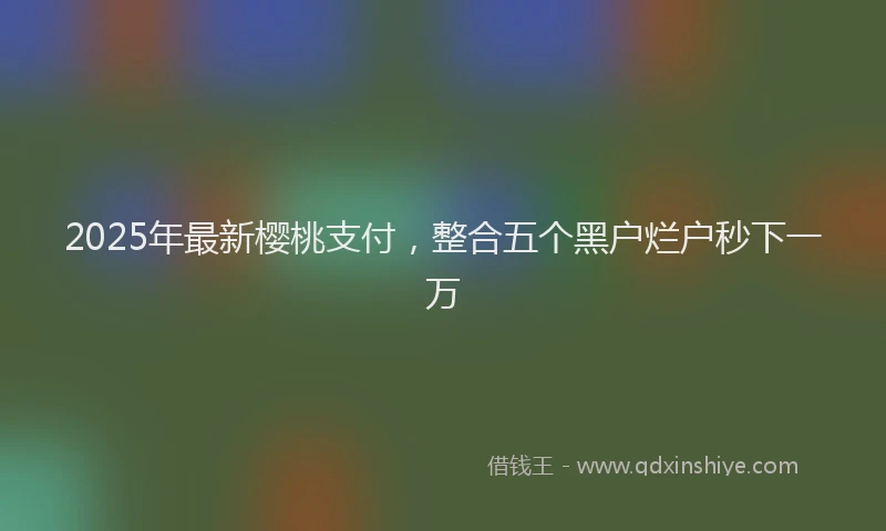 2025年最新樱桃支付，整合五个黑户烂户秒下一万