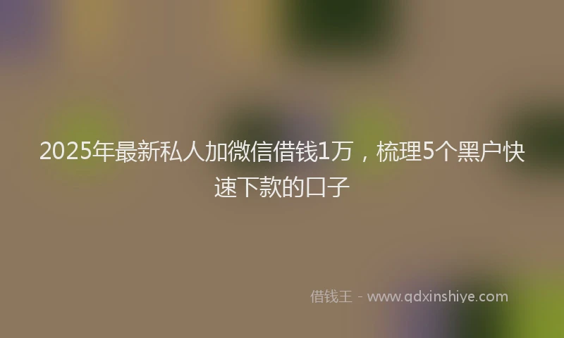 2025年最新私人加微信借钱1万，梳理5个黑户快速下款的口子