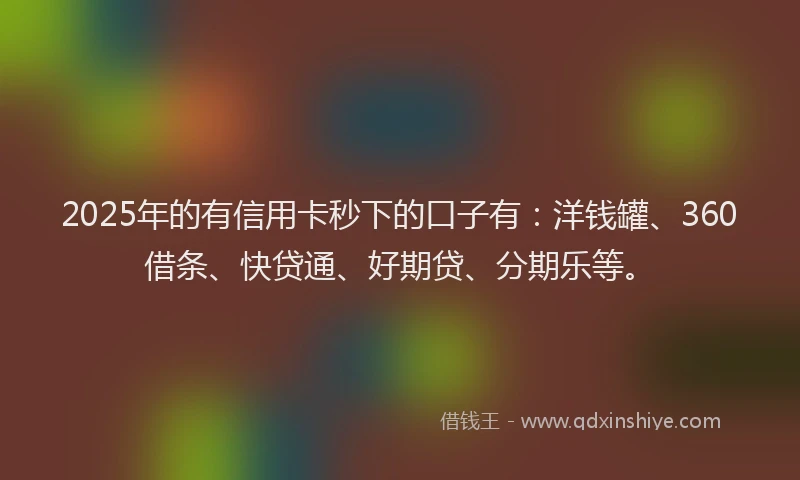 2025年的有信用卡秒下的口子有：洋钱罐、360借条、快贷通、好期贷、分期乐等。