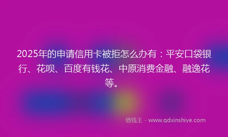 2025年的申请信用卡被拒怎么办有：平安口袋银行、花呗、百度有钱花、中原消费金融、融逸花等。