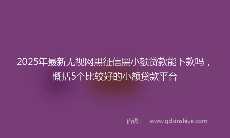 2025年最新无视网黑征信黑小额贷款能下款吗，概括5个比较好的小额贷款平台