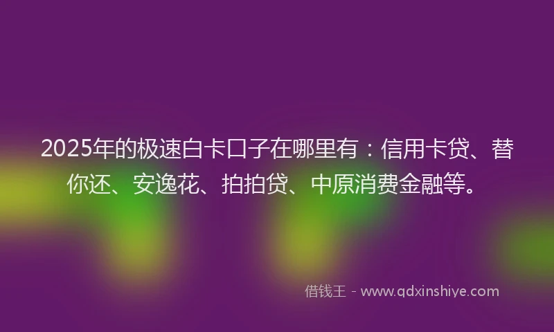 2025年的极速白卡口子在哪里有：信用卡贷、替你还、安逸花、拍拍贷、中原消费金融等。