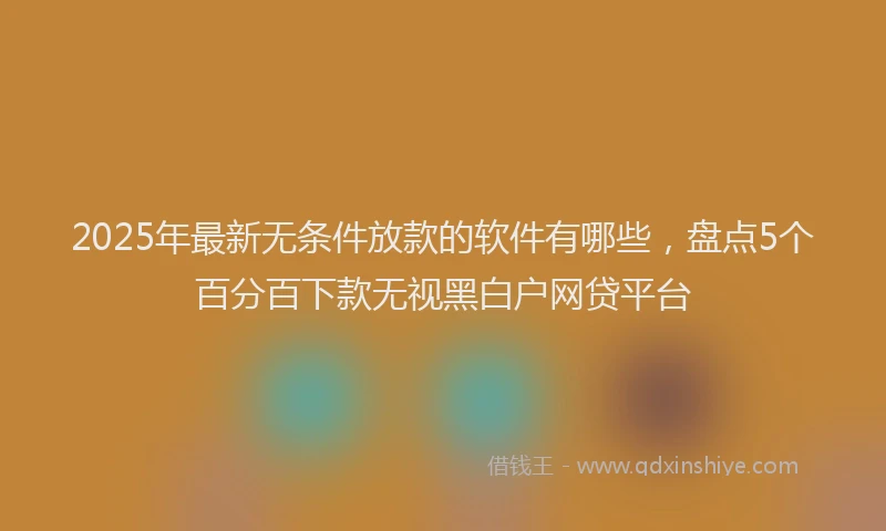 2025年最新无条件放款的软件有哪些，盘点5个百分百下款无视黑白户网贷平台