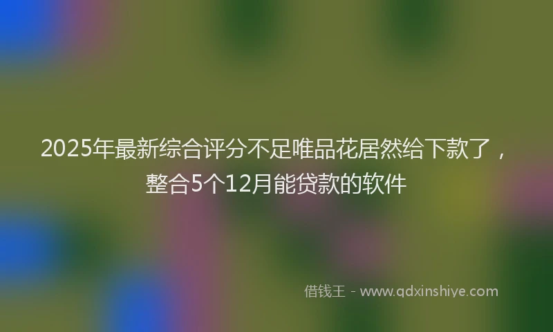 2025年最新综合评分不足唯品花居然给下款了，整合5个12月能贷款的软件