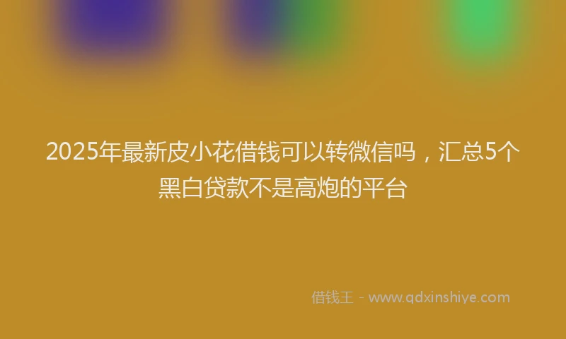 2025年最新皮小花借钱可以转微信吗，汇总5个黑白贷款不是高炮的平台