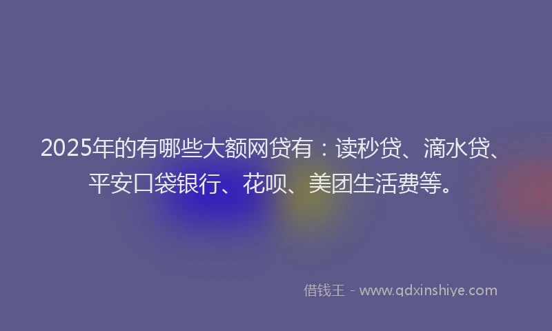2025年的有哪些大额网贷有：读秒贷、滴水贷、平安口袋银行、花呗、美团生活费等。