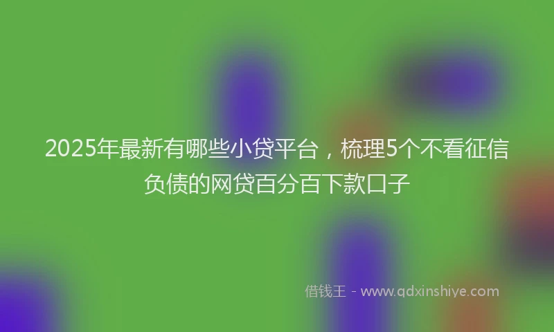 2025年最新有哪些小贷平台，梳理5个不看征信负债的网贷百分百下款口子