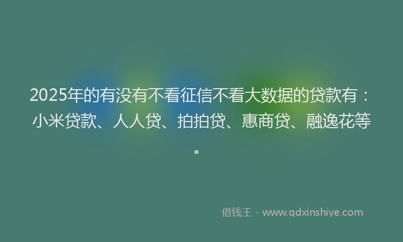 2025年的有没有不看征信不看大数据的贷款有：小米贷款、人人贷、拍拍贷、惠商贷、融逸花等。