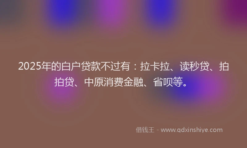 2025年的白户贷款不过有：拉卡拉、读秒贷、拍拍贷、中原消费金融、省呗等。