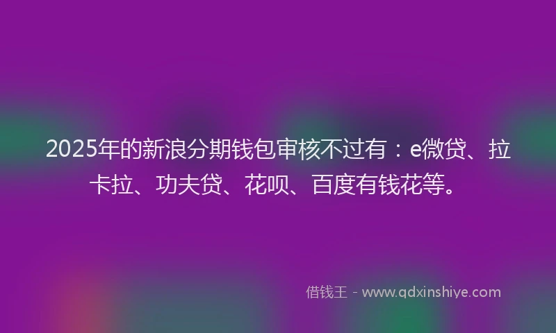 2025年的新浪分期钱包审核不过有：e微贷、拉卡拉、功夫贷、花呗、百度有钱花等。