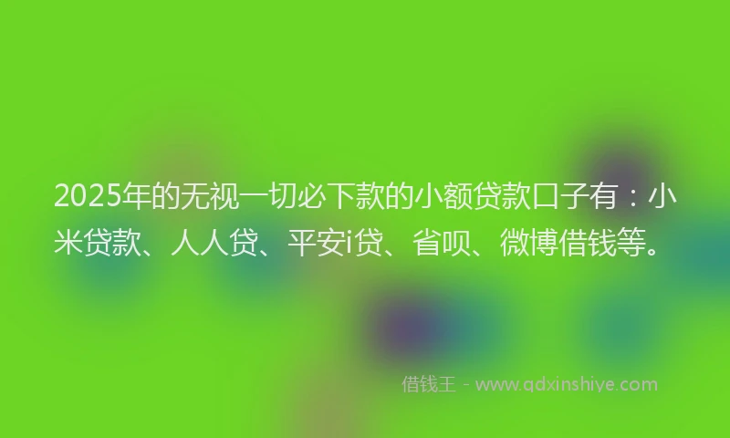 2025年的无视一切必下款的小额贷款口子有：小米贷款、人人贷、平安i贷、省呗、微博借钱等。