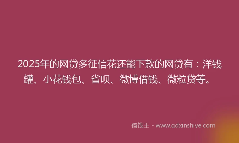 2025年的网贷多征信花还能下款的网贷有：洋钱罐、小花钱包、省呗、微博借钱、微粒贷等。