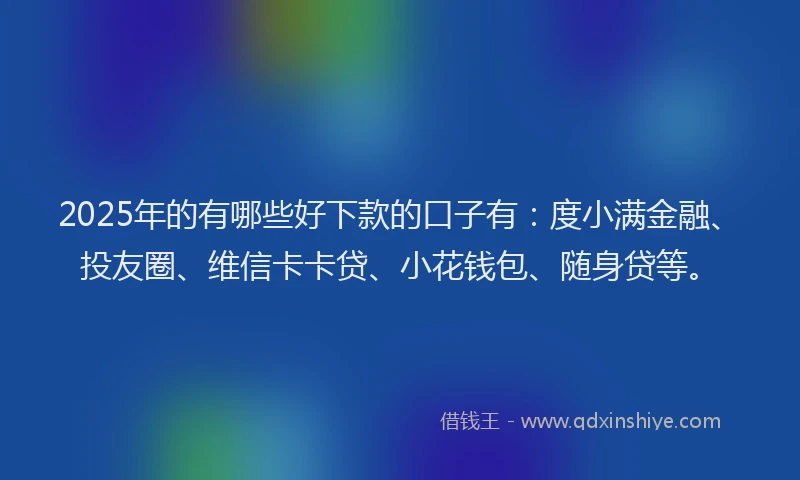 2025年的有哪些好下款的口子有：度小满金融、投友圈、维信卡卡贷、小花钱包、随身贷等。