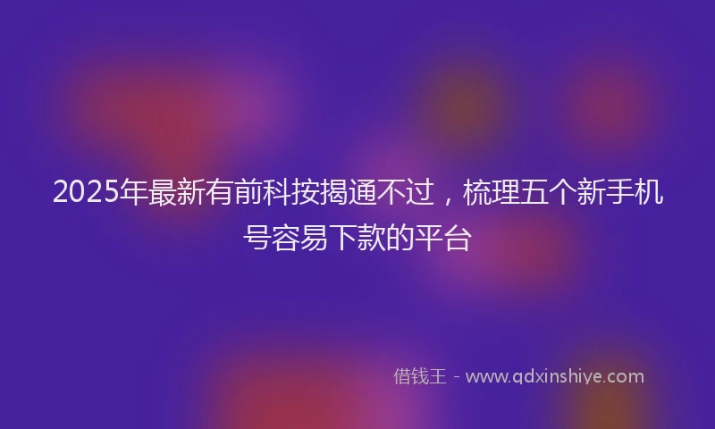 2025年最新有前科按揭通不过，梳理五个新手机号容易下款的平台
